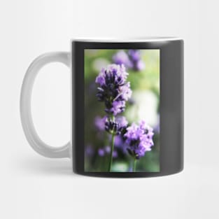 Pretty lavender flowers Mug